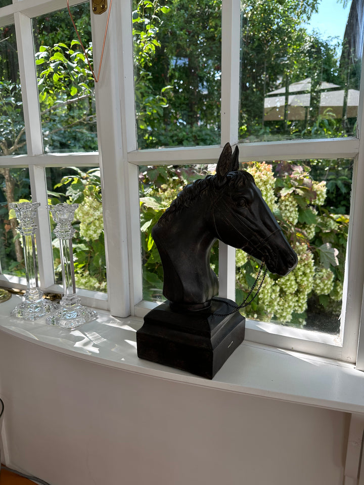 Pferdebüste Apollo
