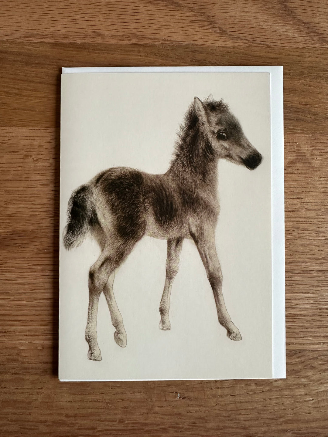Grußkarte "Shetland Fohlen"