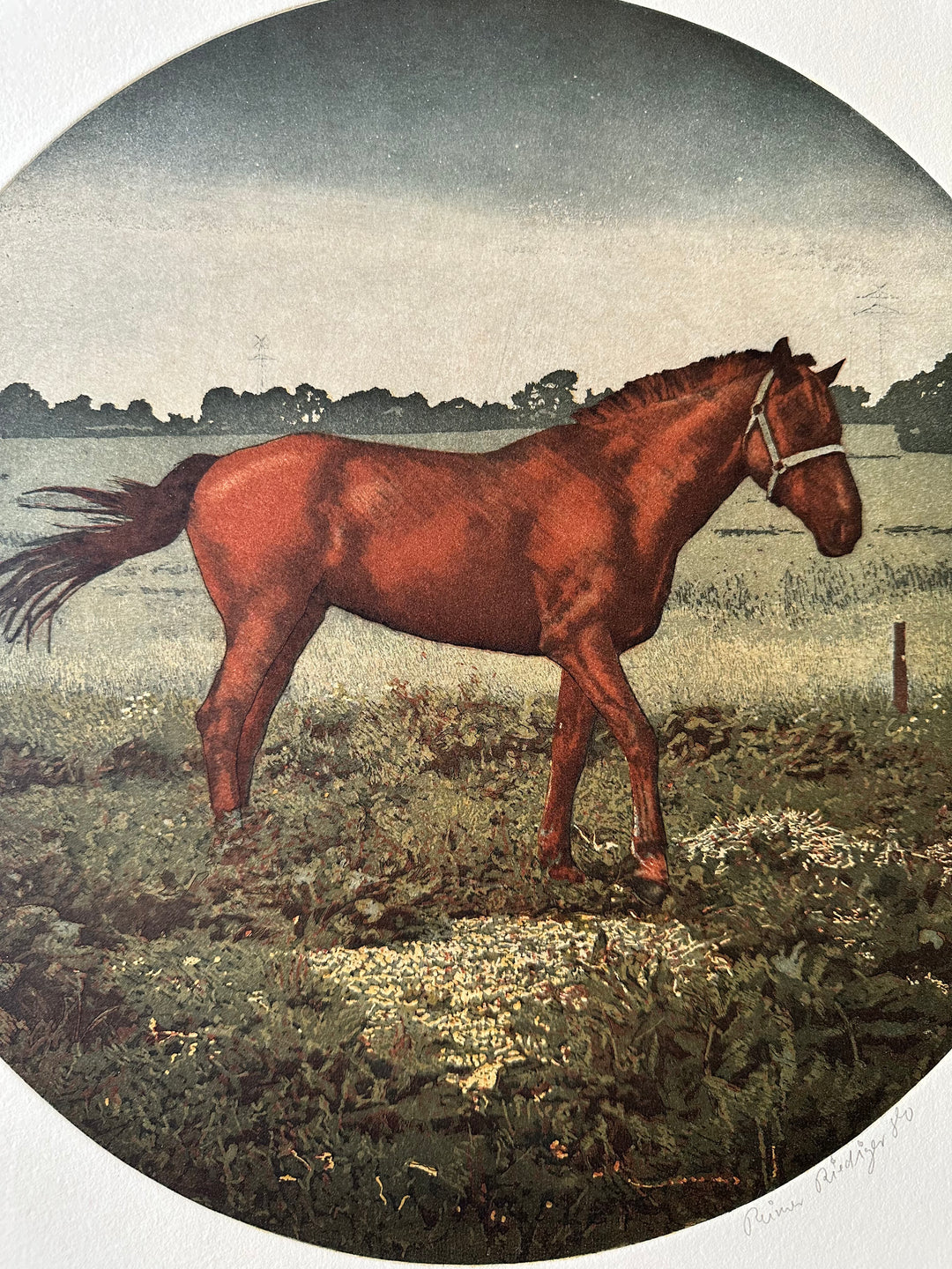 Moderne Farbradierung "Pferd"