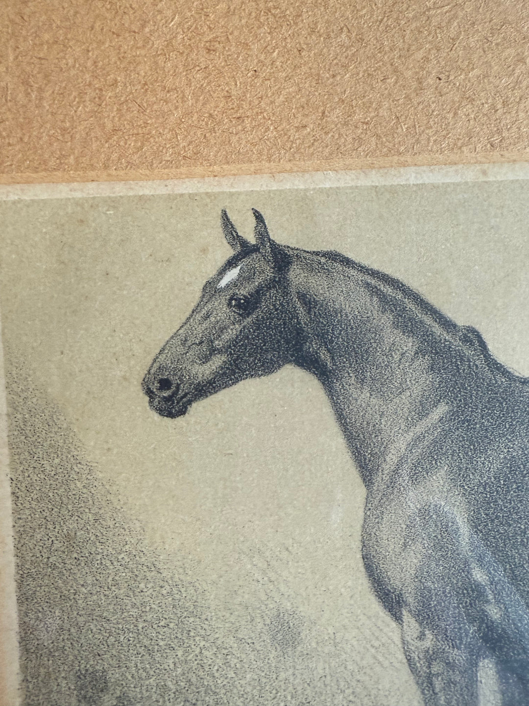 Emil Volkers Lithografie eines Pferdes