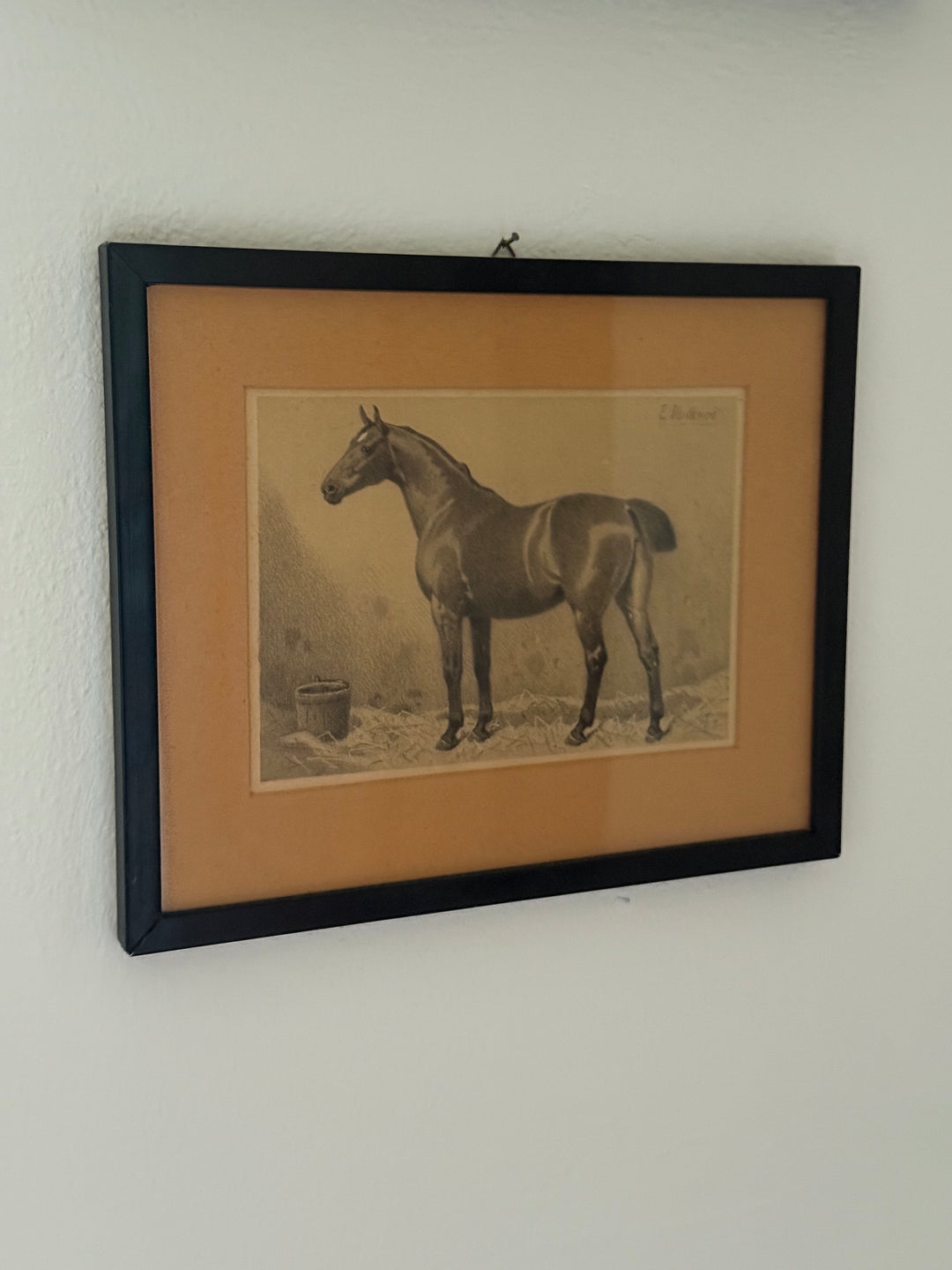 Emil Volkers Lithografie eines Pferdes