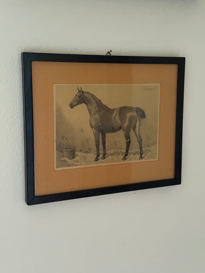 Emil Volkers Lithografie eines Pferdes