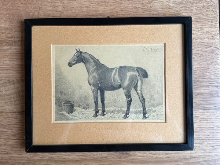 Emil Volkers Lithografie eines Pferdes