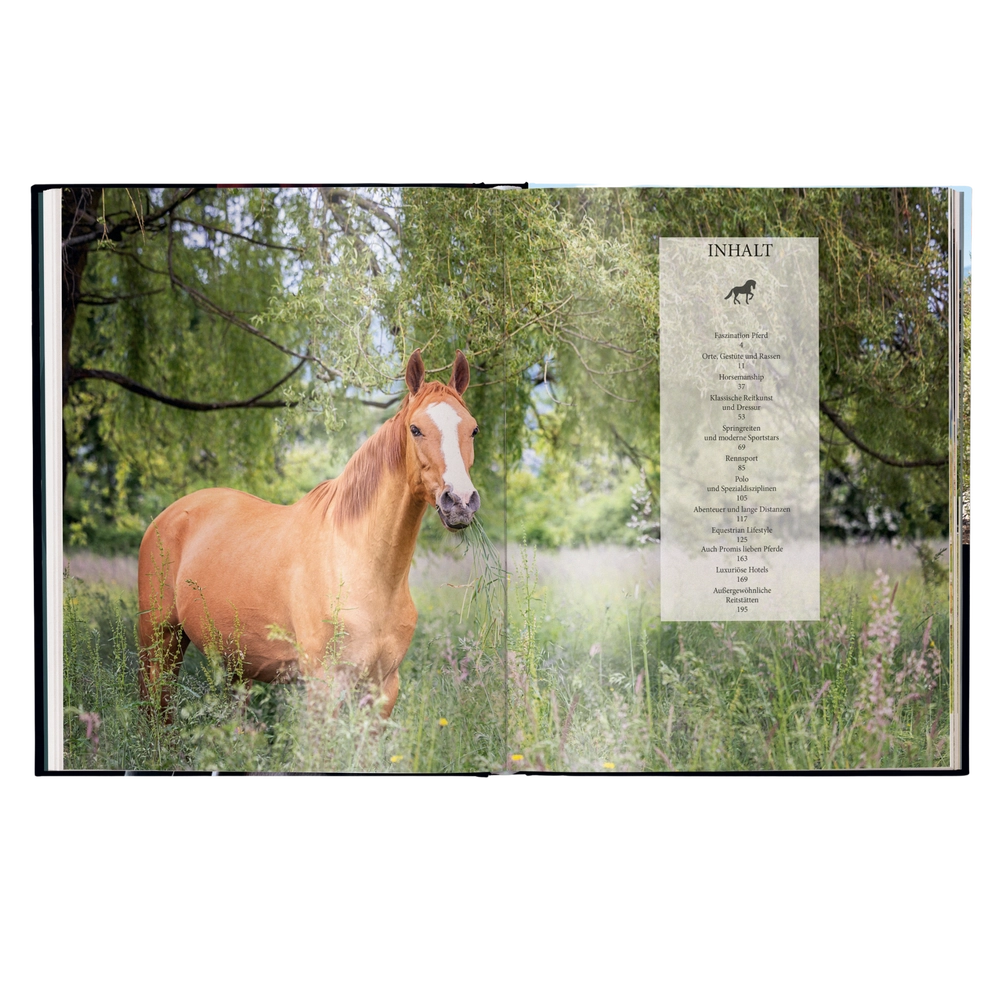 Reiten - Das ultimative Buch