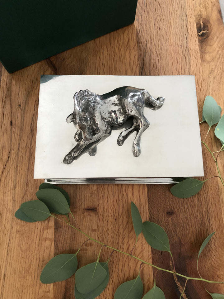 Coffret Mystère de Cheval