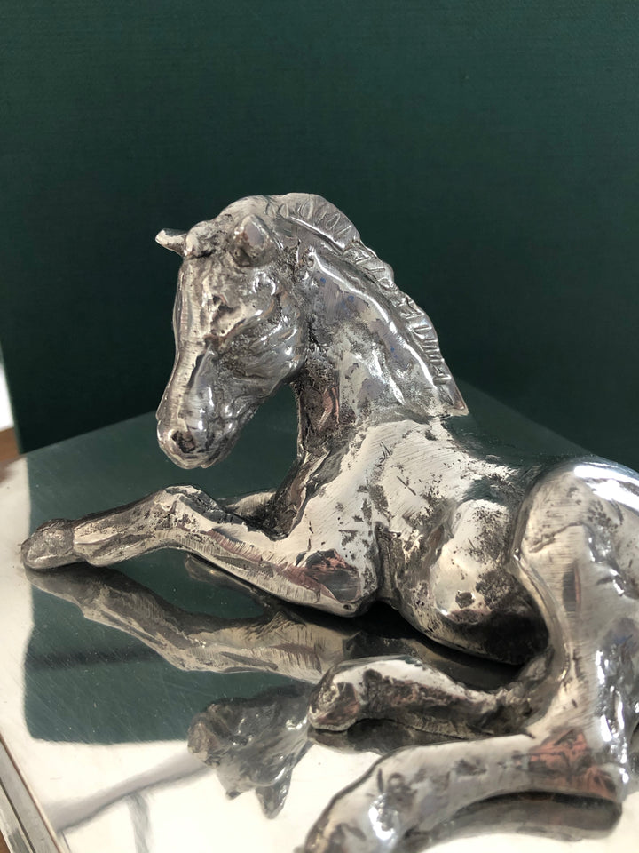 Coffret Mystère de Cheval