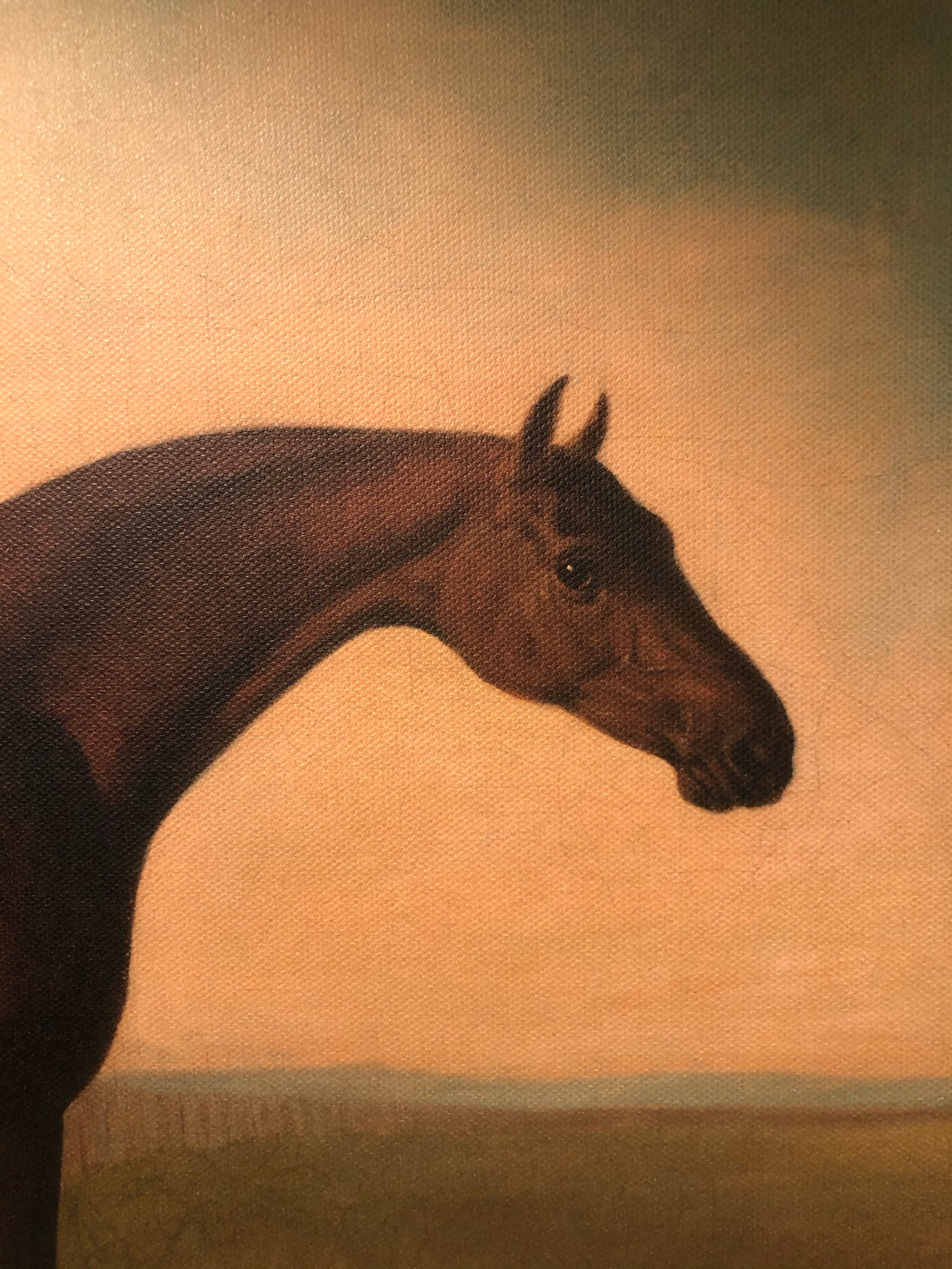 Boultbee : A Bay Horse In a Field