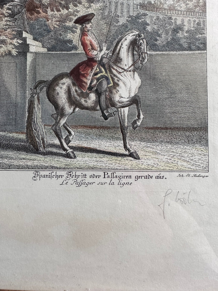 RIDINGER Johann Elias - Neue Reitkunst