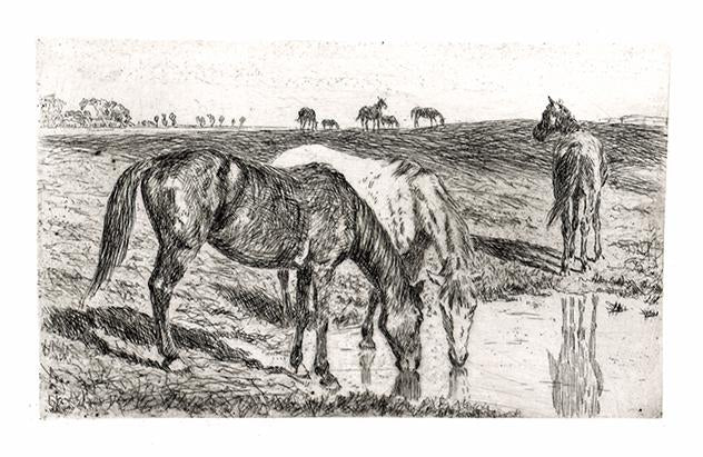 Kupferdruck "Pferde an der Tränke"